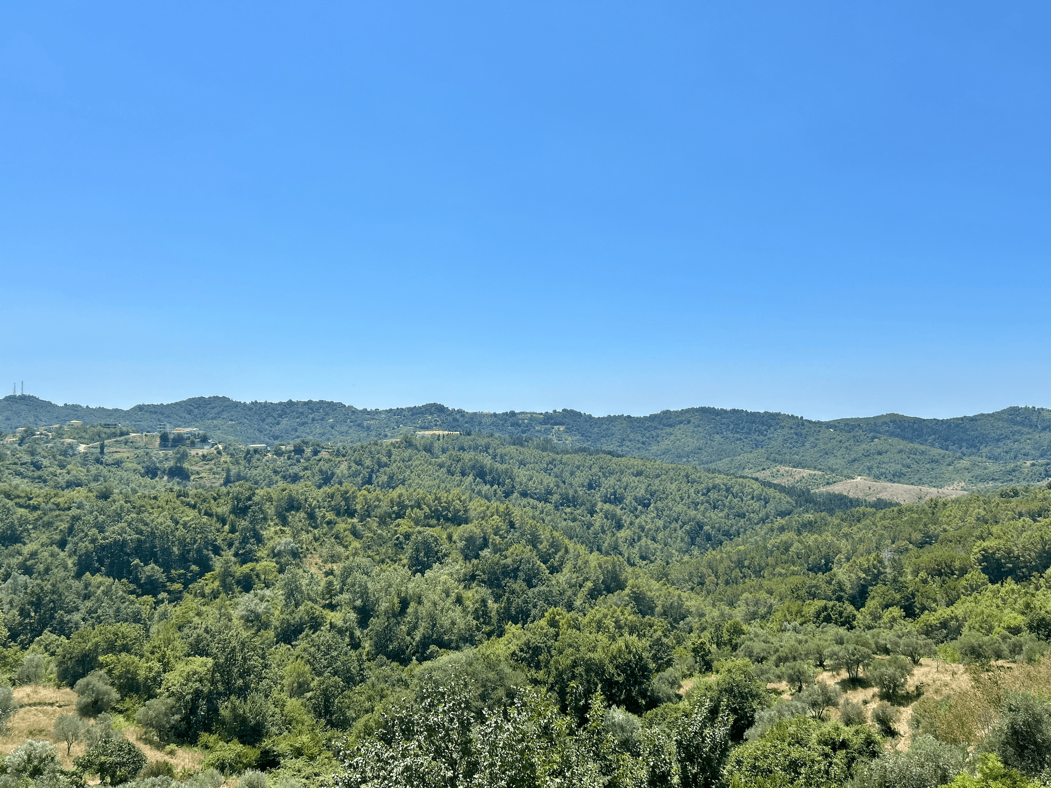 Ishëm Greenview Apartments3